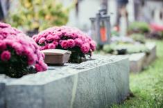 Lire la suite à propos de l’article Quelles sont les informations à connaître lors de l’acquisition d’une concession funéraire ?