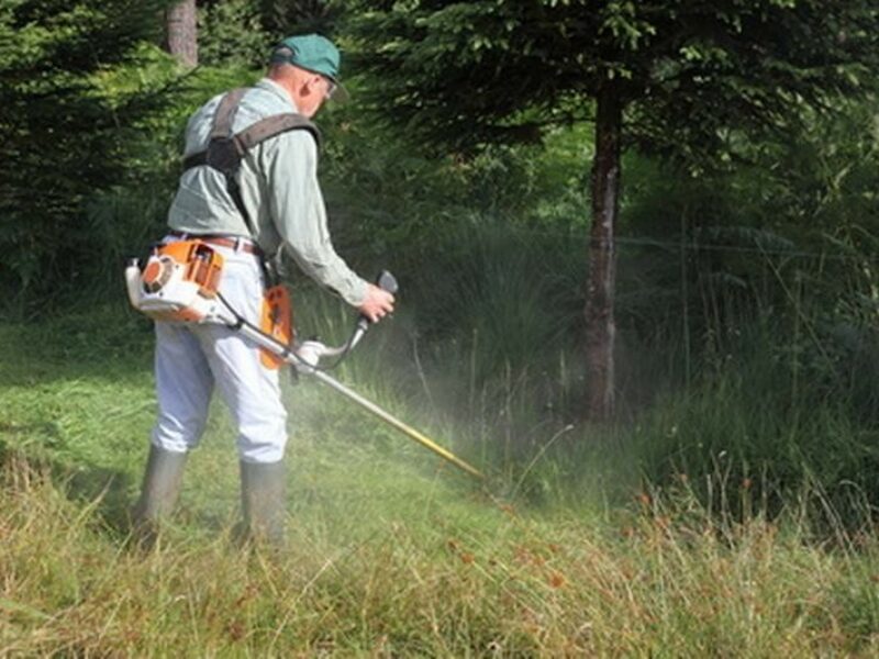 Débroussaillez votre terrain dès maintenant pour éviter des feux durant l’été